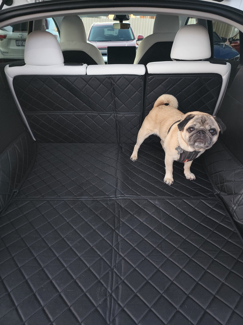 Tesla Model 3/Y Dog Leash Seat Belt 2-in-1