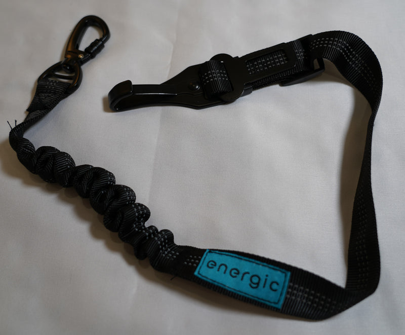 Tesla Model 3/Y Dog Leash Seat Belt 2-in-1